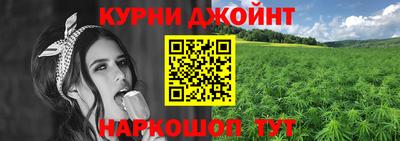 сатива Пенза