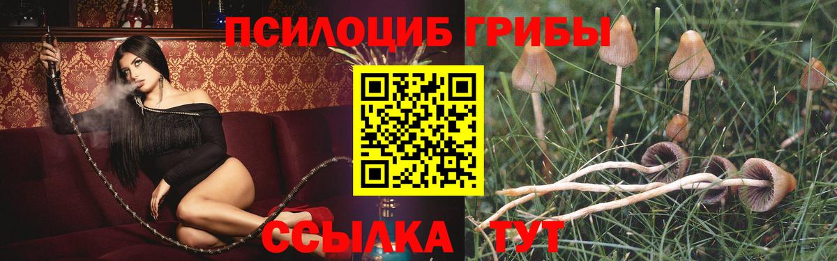 Галлюциногенные грибы GOLDEN TEACHER Строитель
