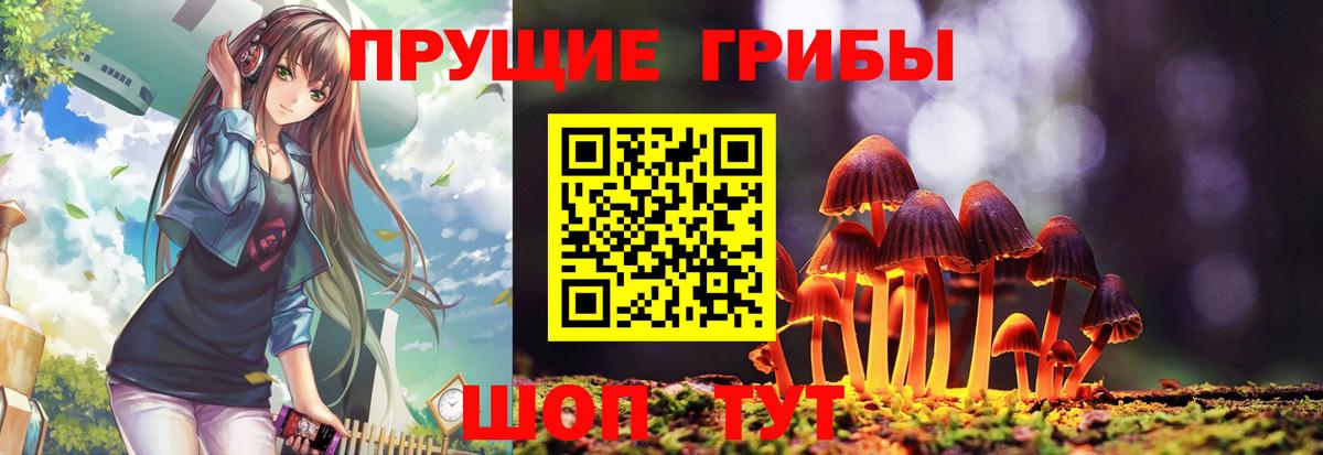 Псилоцибиновые грибы GOLDEN TEACHER  Вход с VPN  где купить   Строитель 